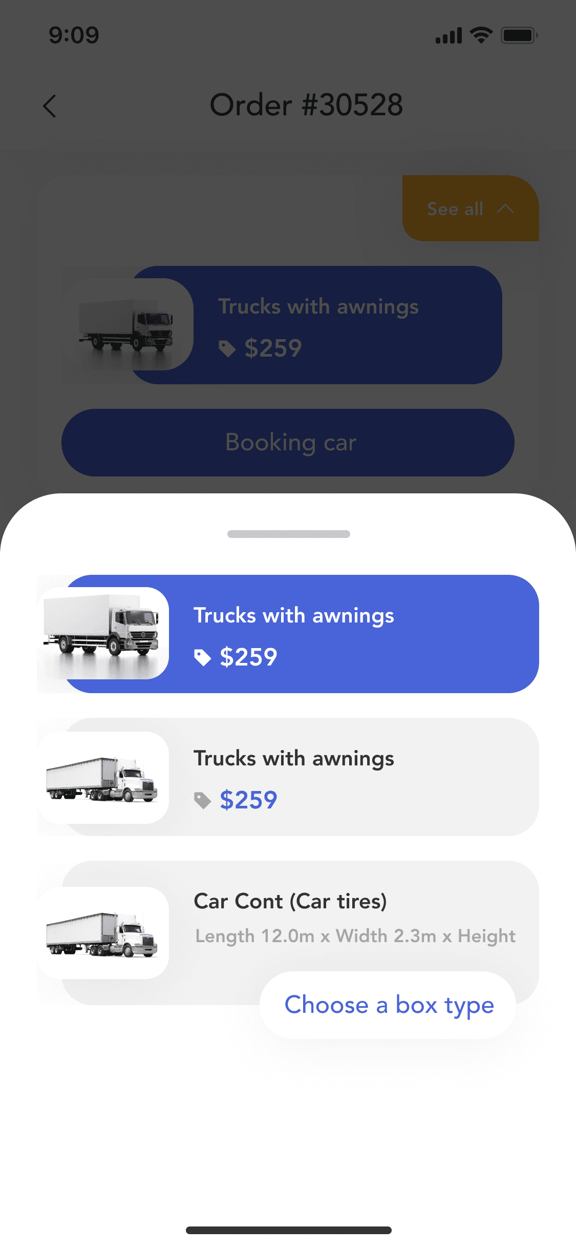 Screens View Car