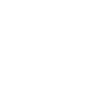 Web App Icon